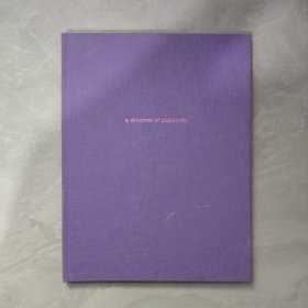 Paul Graham: A Shimmer of Possibility 一丝可能性的光芒