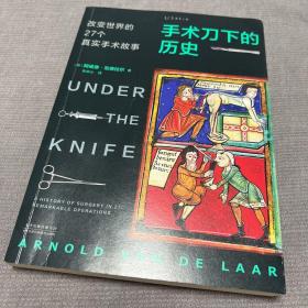 手术刀下的历史：改变世界的27个真实手术故事