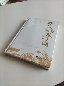 冬天里的成子湖