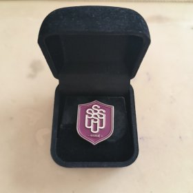 深圳理工大学附属高级中学校徽徽章