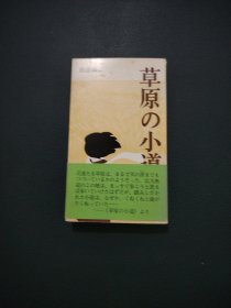 草原的小遒