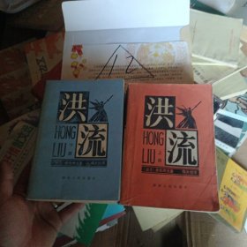 洪流