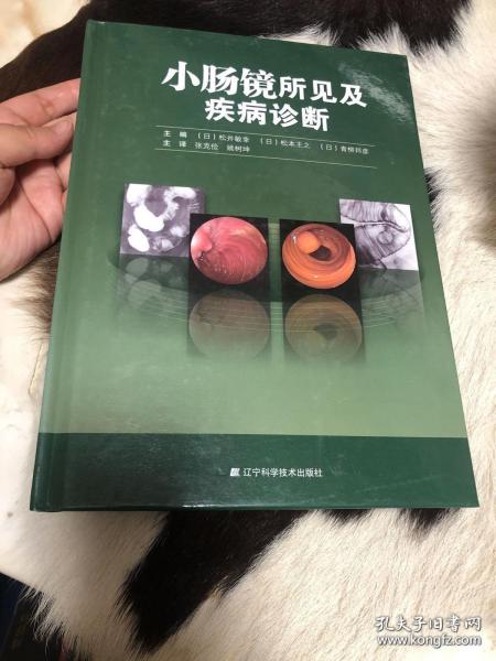 小肠镜所见及疾病诊断