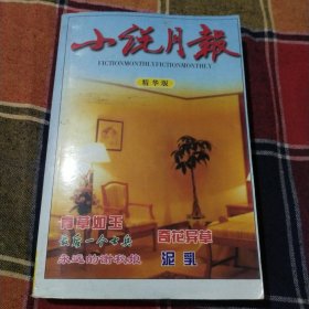 小说月报精华版