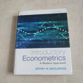 introductory econometrics计量经济学入门