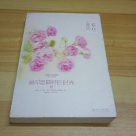 爱你是最好的时光Ⅱ