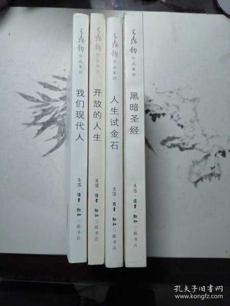 王鼎钧作品系列 黑暗圣经、人生试金石、我们先代人、开放的人生 四本合售