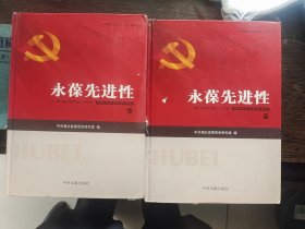 湖北新世界党建工作纪实-永葆先进性（上、下）编号1903