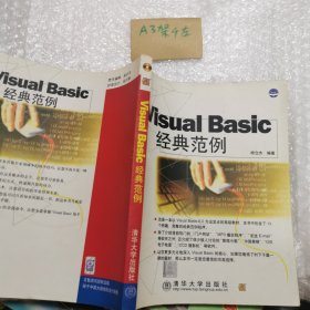 Visual Basic 经典范例