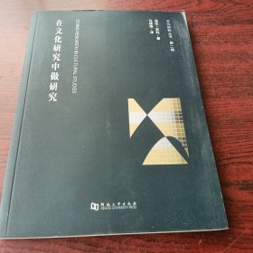 文化研究丛书（第二辑）：在文化研究中做研究