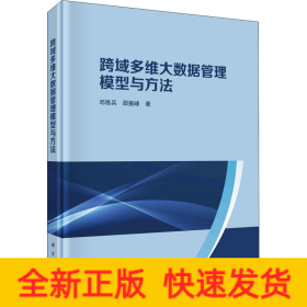 跨域多维大数据管理模型与方法