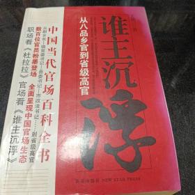 谁主沉浮1：从八品乡官到省级高官