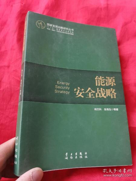 国家发展战略研究丛书：能源安全战略