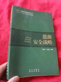 国家发展战略研究丛书：能源安全战略