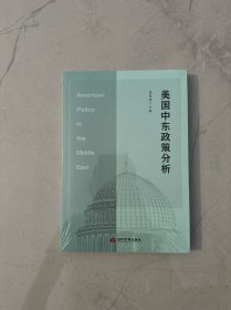 美国中东政策分析