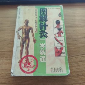 圖解針灸一學(xué)就通
