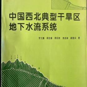 中国西北典型干旱区地下水流系统