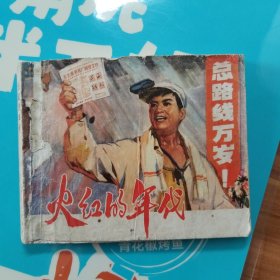 火红的年代