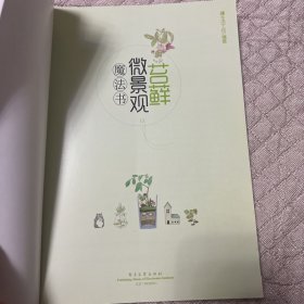 苔藓微景观魔法书【魔法DIY打造苔藓微景观，让您成就感爆棚】