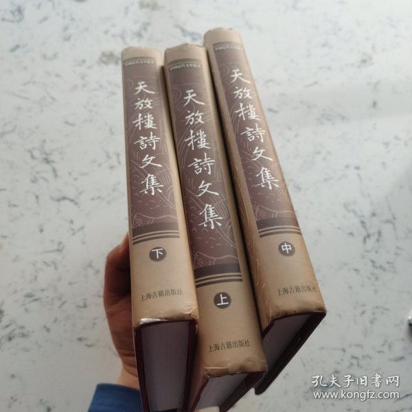 天放楼诗文集（全三册）：中国近代文学丛书