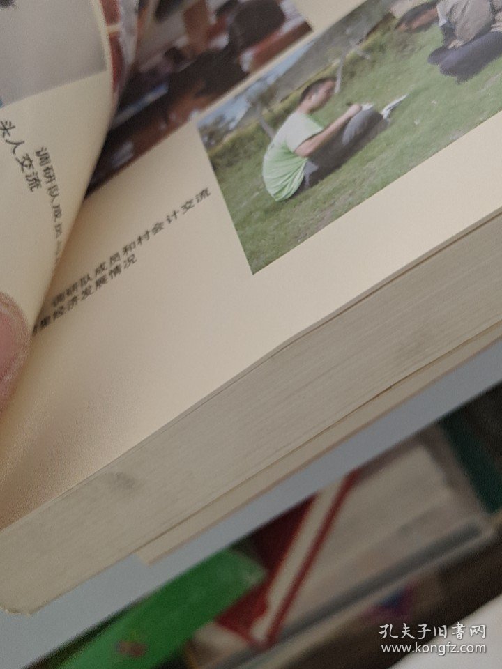 中国民族经济村庄调查丛书：东家村调查:土族