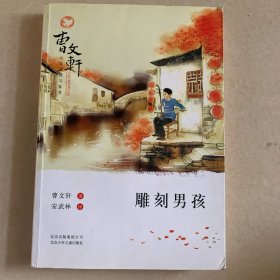 曹文轩小说阅读与鉴赏：雕刻男孩