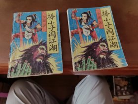 武侠 棒小子闯江湖 上下册