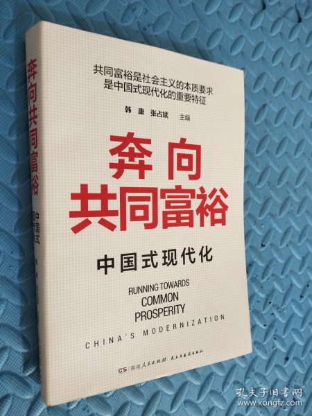 奔向共同富裕（读懂共同富裕，看清未来中国！深入浅出，雅俗共赏，两大TOP级智库联袂巨献，通俗理论重磅大作！）