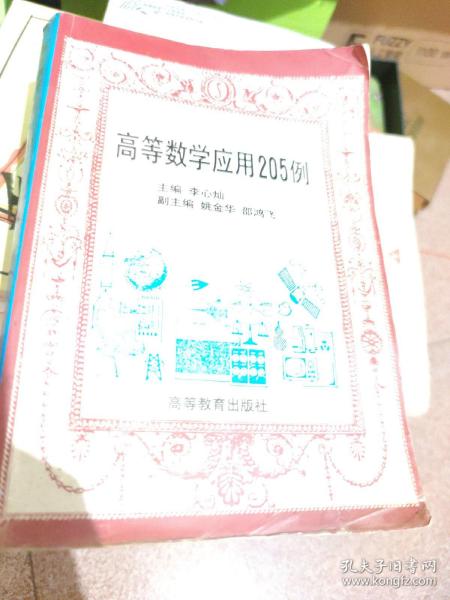 高等数学应用205例
