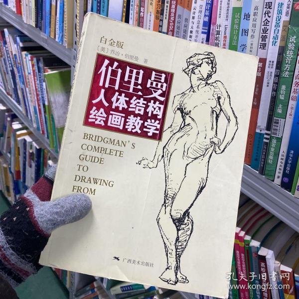 伯里曼人体结构绘画教学（白金版）