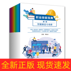 職業(yè)技能寶典（全10冊(cè)）