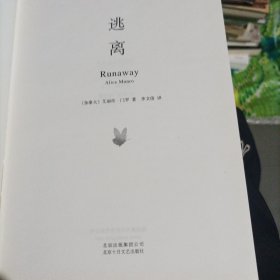 逃离(大本32开210)