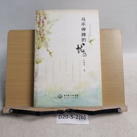 马不停蹄的忧伤