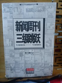 新闻周刊三级跳跃:1993-1996