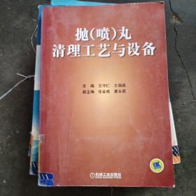 抛（喷）丸清理工艺与设备