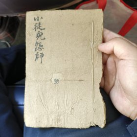 小徒儿怨师尊