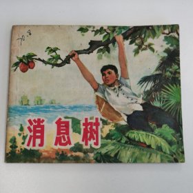 精品连环画套书：《消息树》