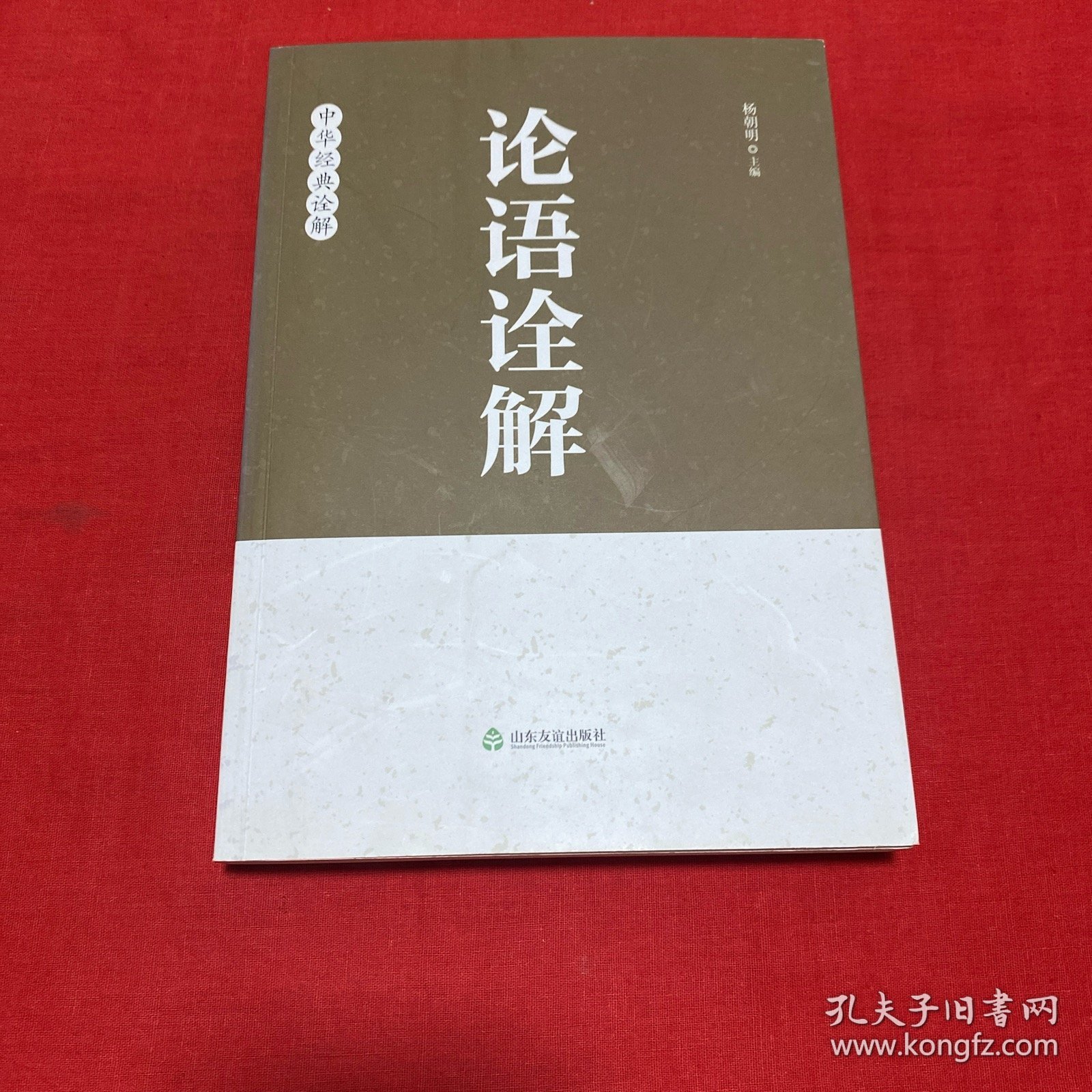 论语诠解：中华经典诠解