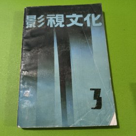 影視文化3