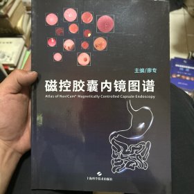 磁控胶囊内镜图谱