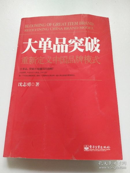 大单品突破——重新定义中国品牌模式