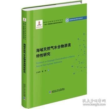 海域天然气水合物渗流特性研究（2020新能源基金）