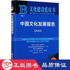 文化建设蓝皮书：中国文化发展报告（2020）