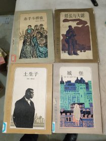 外国文学《二十世纪外国文学丛书：城堡、土生子、赤手斗群狼、船长与大卫下（四册合售）》大32开，详情见图！东2--2（8）