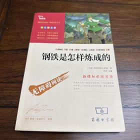 钢铁是怎样炼成的