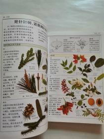 全世界500多种树木的彩色图鉴：树、有害植物（2册合售）