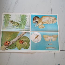 挂图 庄家的好朋友（17）