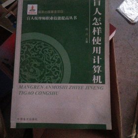 盲人怎样使用计算机（大字本）