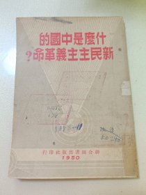 什么是中国的新民主主义革命？