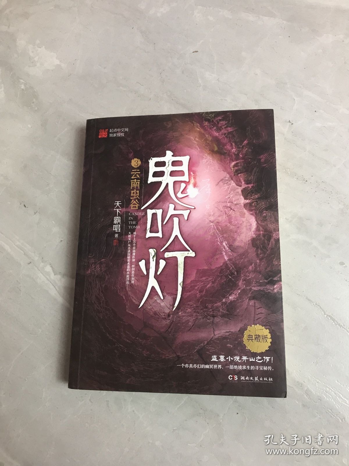 鬼吹灯3：云南虫谷